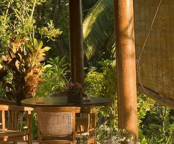 Gaia-oasis Mountain Abasan *