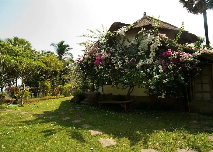 ホテル Gaia-oasis Mountain Abasan *